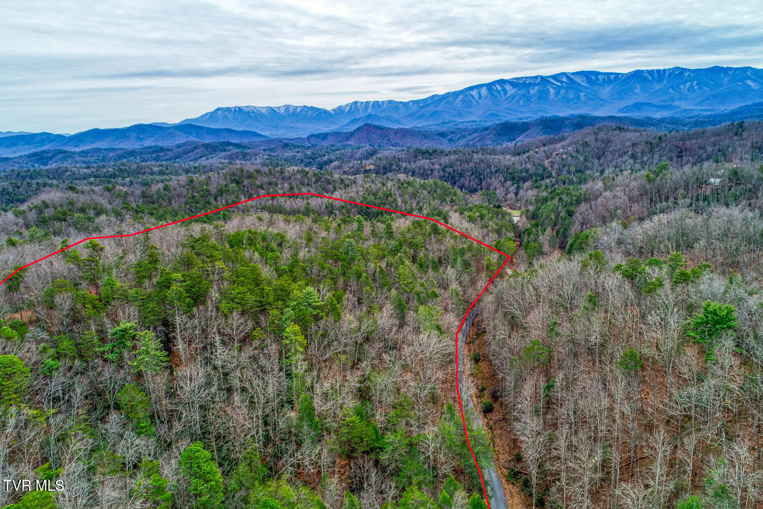 Tbd Stinnett Ridge Road, Cosby, Tennessee image 23