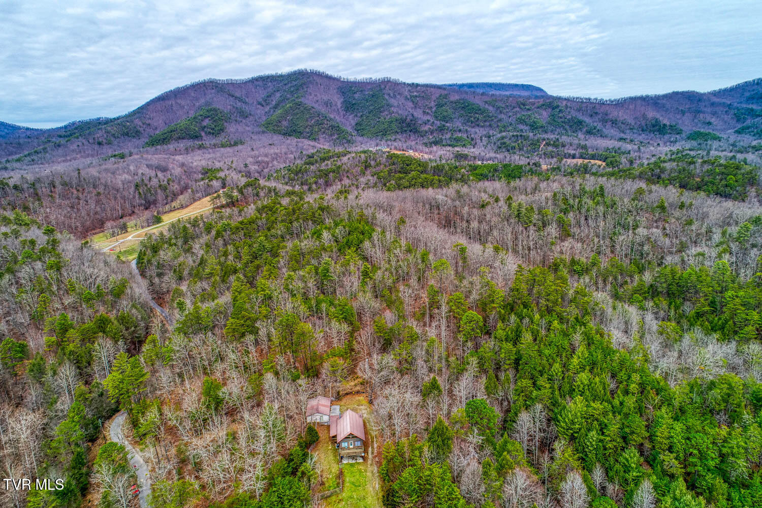 Tbd Stinnett Ridge Road, Cosby, Tennessee image 22