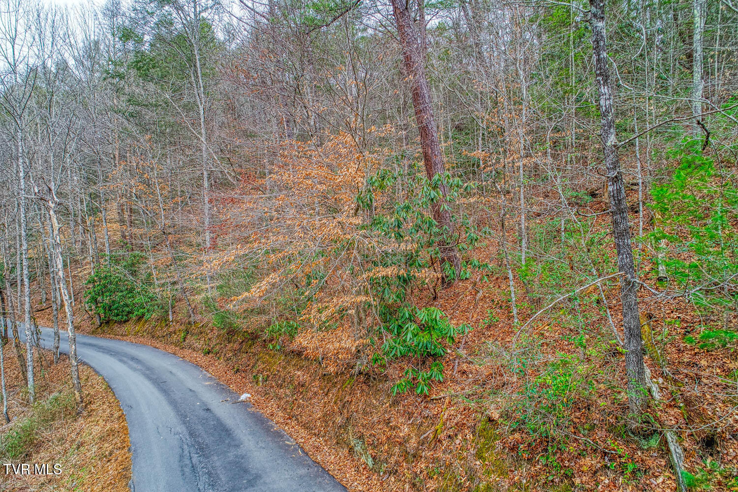Tbd Stinnett Ridge Road, Cosby, Tennessee image 9
