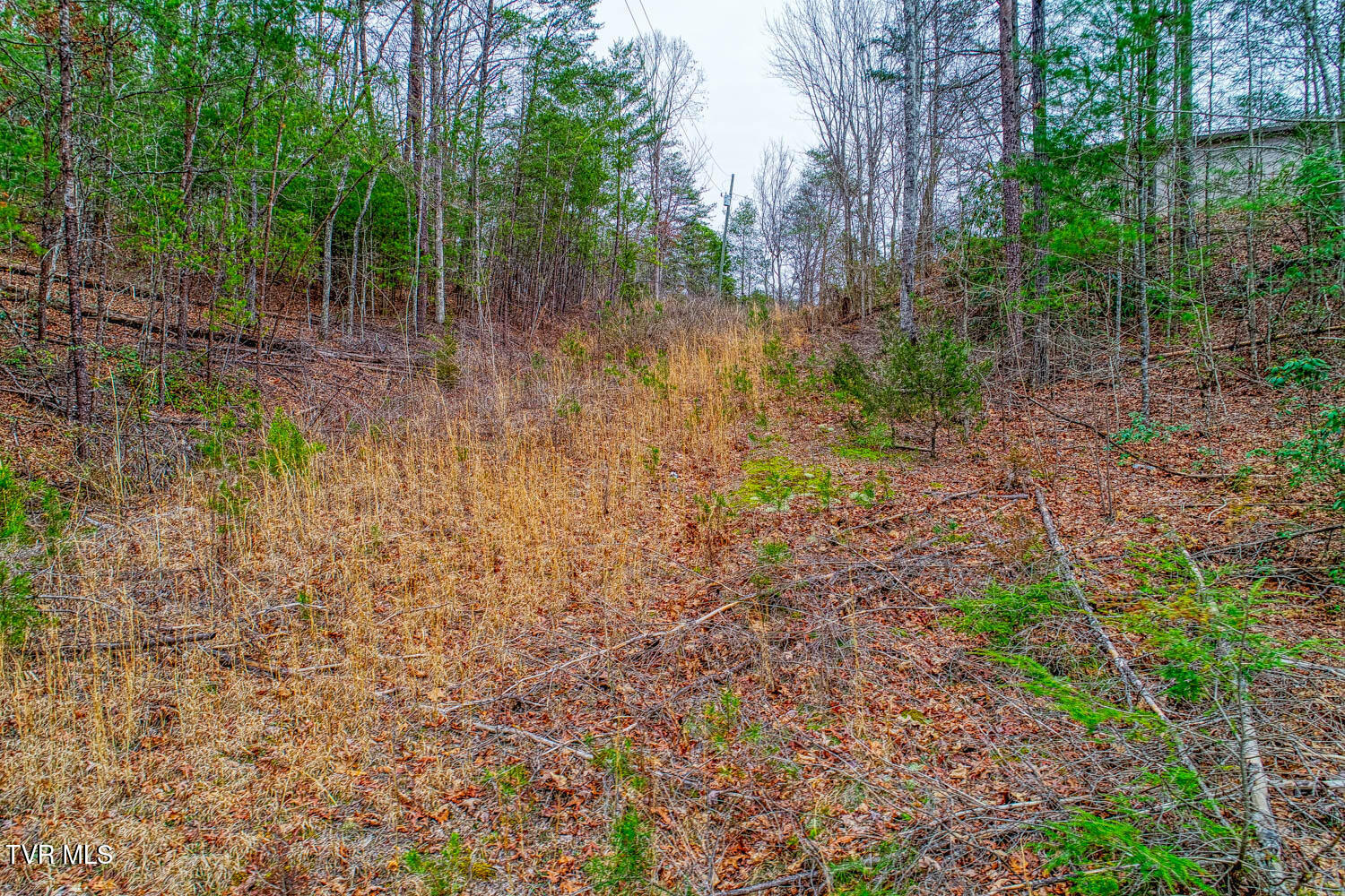 Tbd Stinnett Ridge Road, Cosby, Tennessee image 6