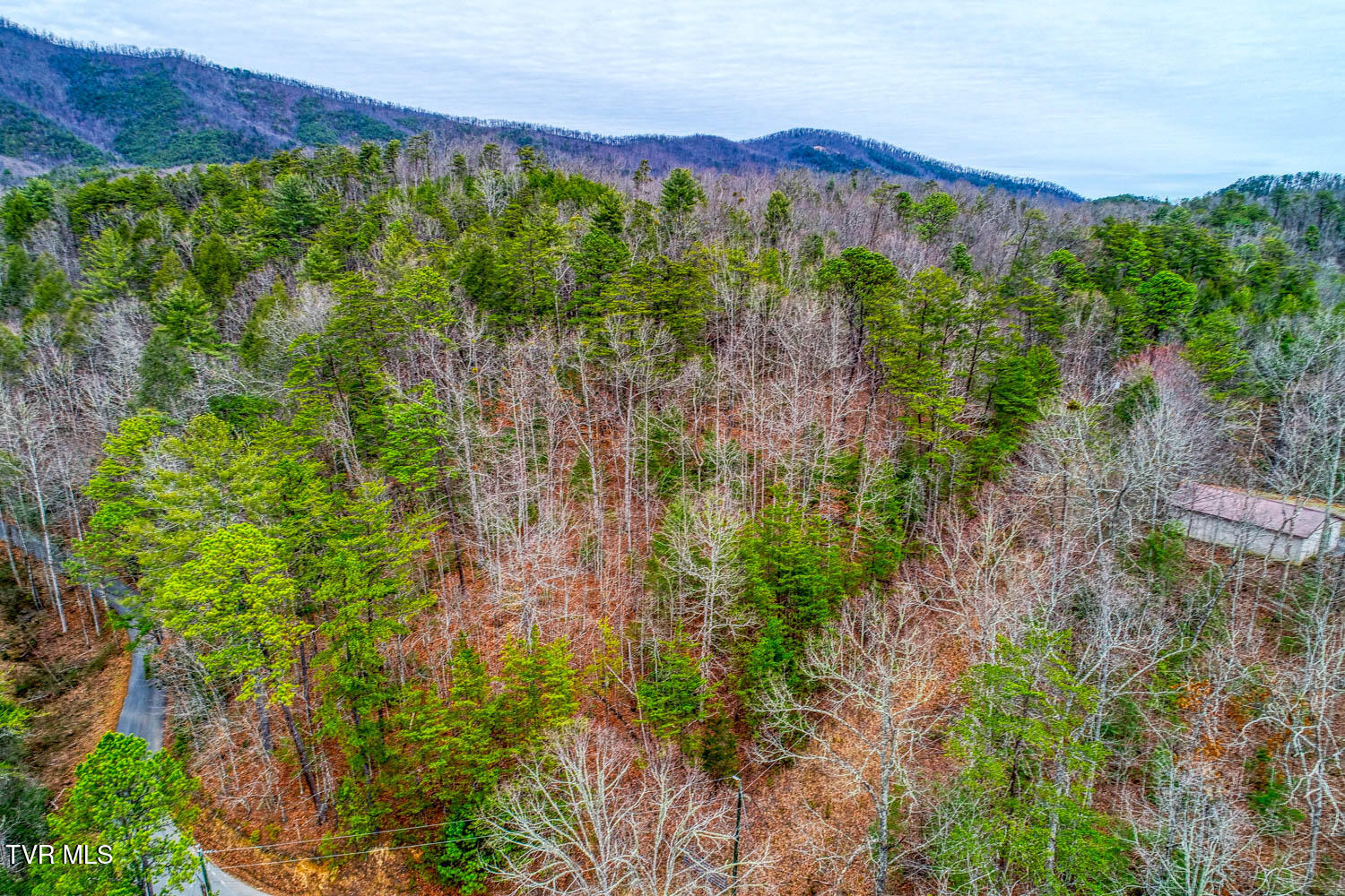 Tbd Stinnett Ridge Road, Cosby, Tennessee image 14