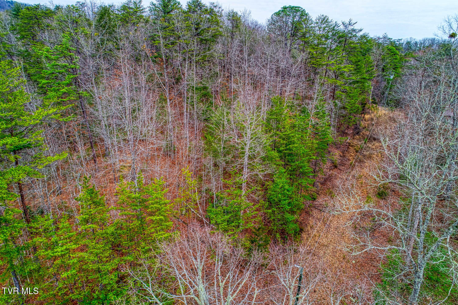 Tbd Stinnett Ridge Road, Cosby, Tennessee image 13