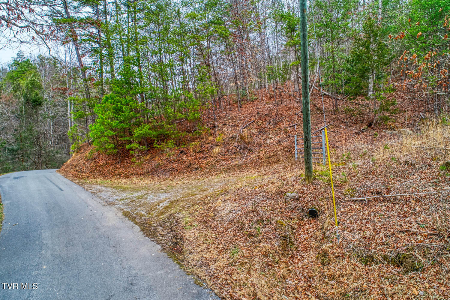 Tbd Stinnett Ridge Road, Cosby, Tennessee image 1