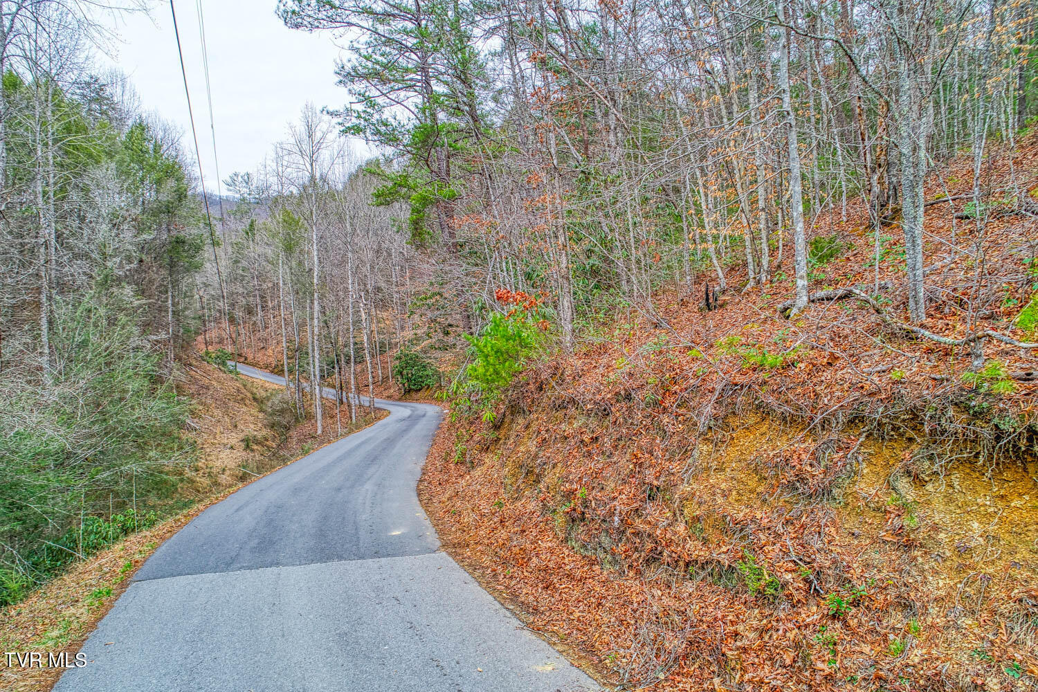 Tbd Stinnett Ridge Road, Cosby, Tennessee image 8