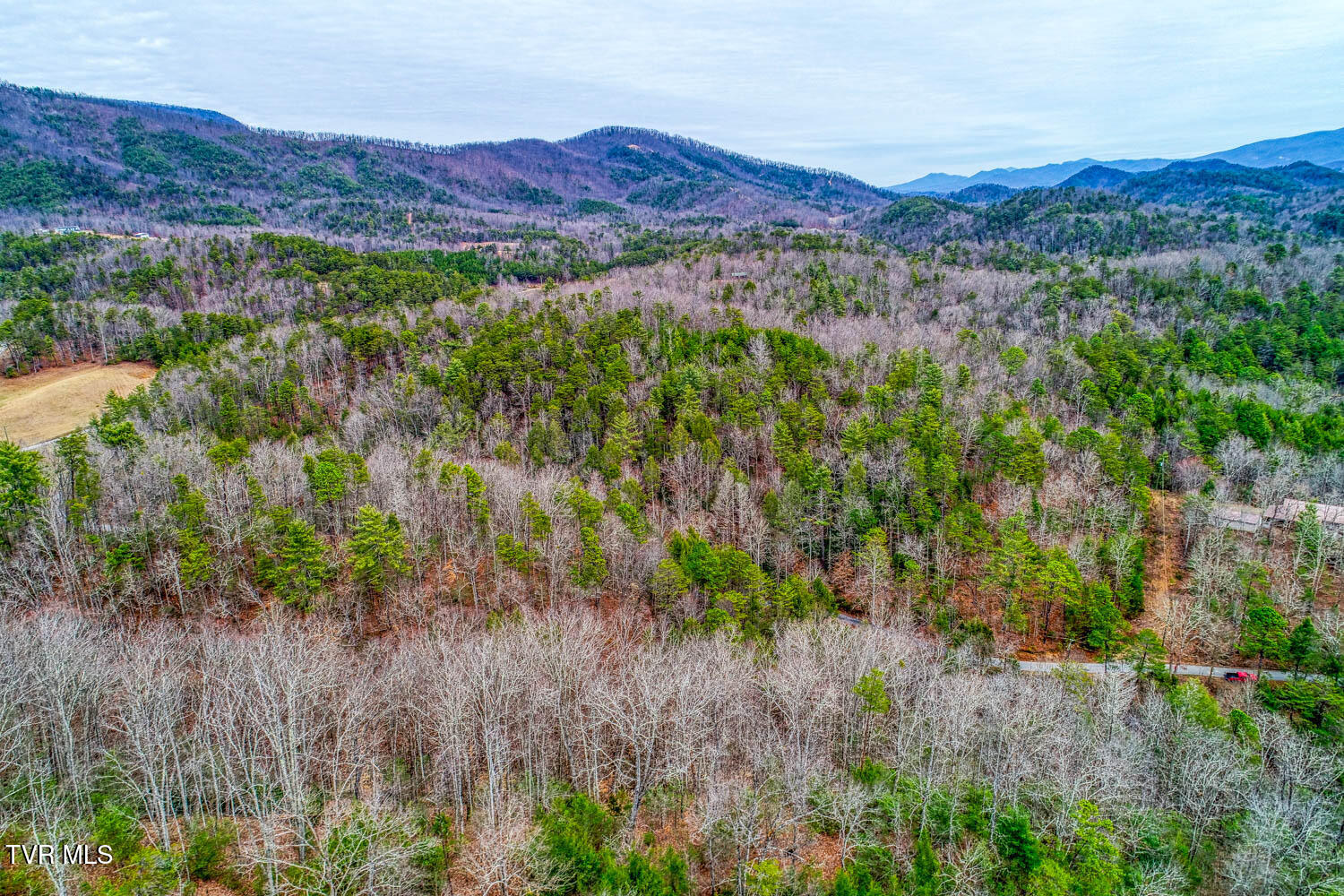 Tbd Stinnett Ridge Road, Cosby, Tennessee image 20