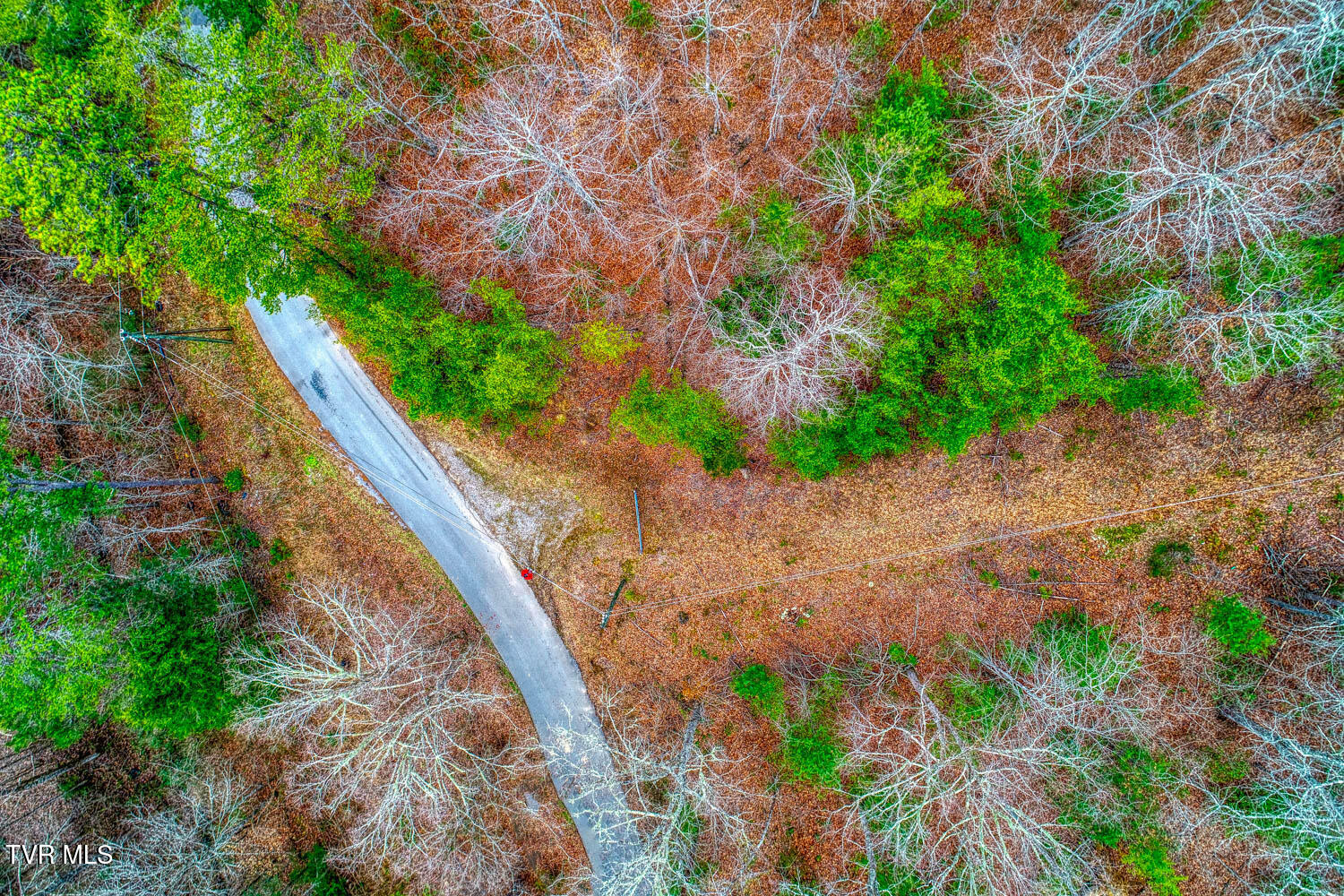 Tbd Stinnett Ridge Road, Cosby, Tennessee image 25