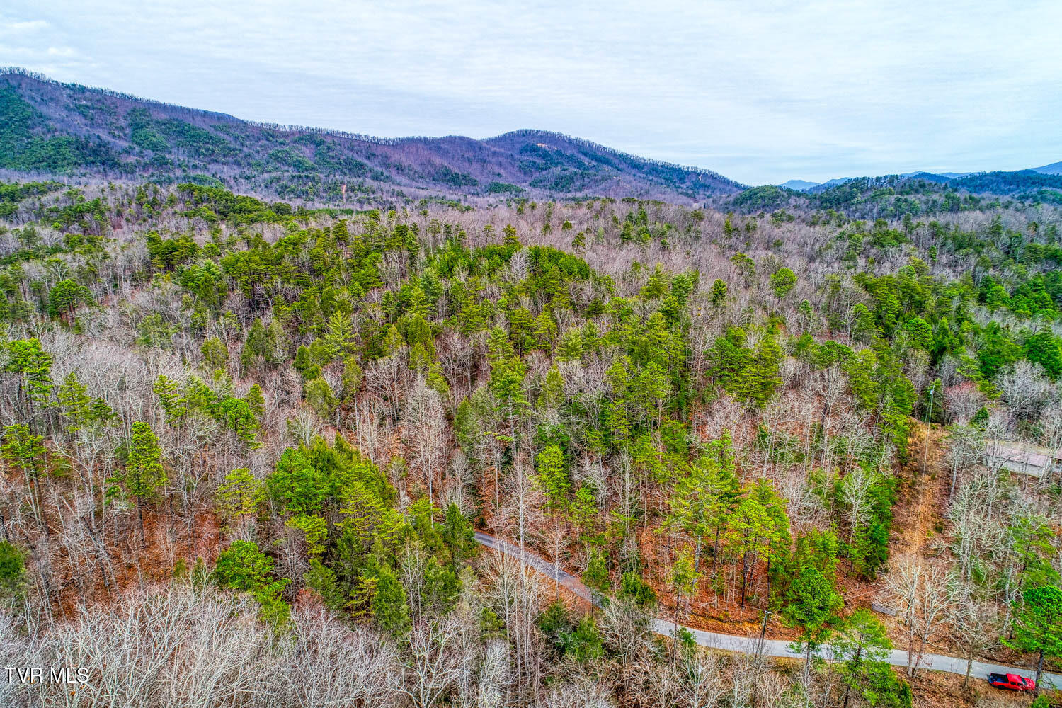 Tbd Stinnett Ridge Road, Cosby, Tennessee image 17