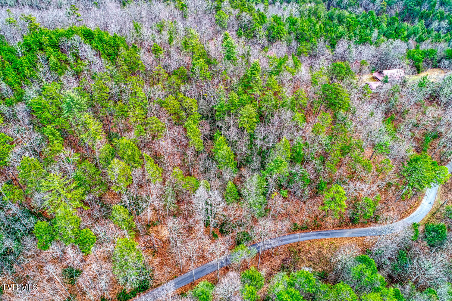 Tbd Stinnett Ridge Road, Cosby, Tennessee image 18