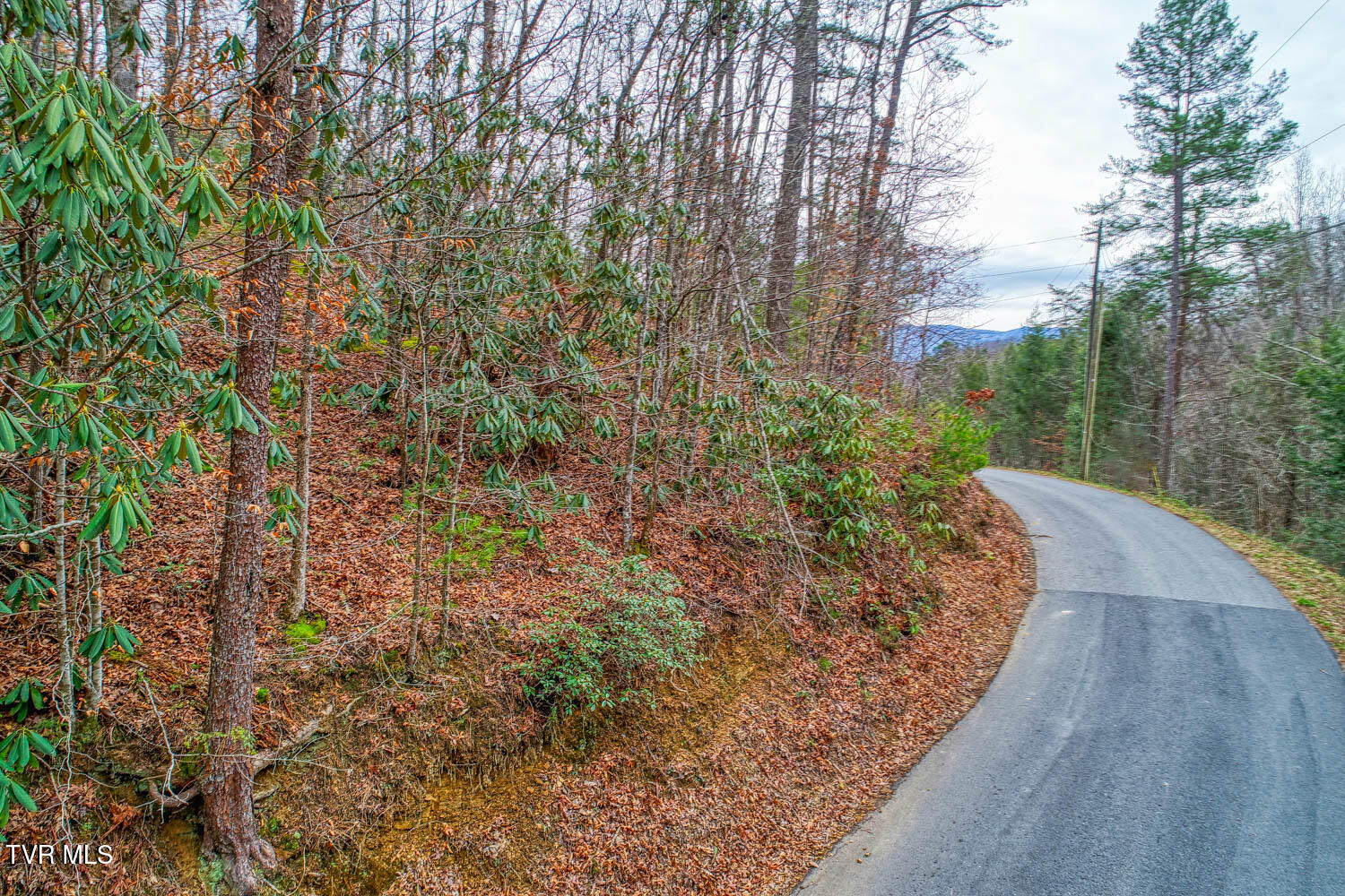 Tbd Stinnett Ridge Road, Cosby, Tennessee image 10