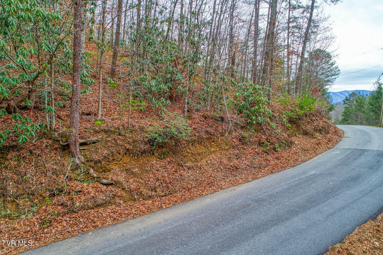Tbd Stinnett Ridge Road, Cosby, Tennessee image 12