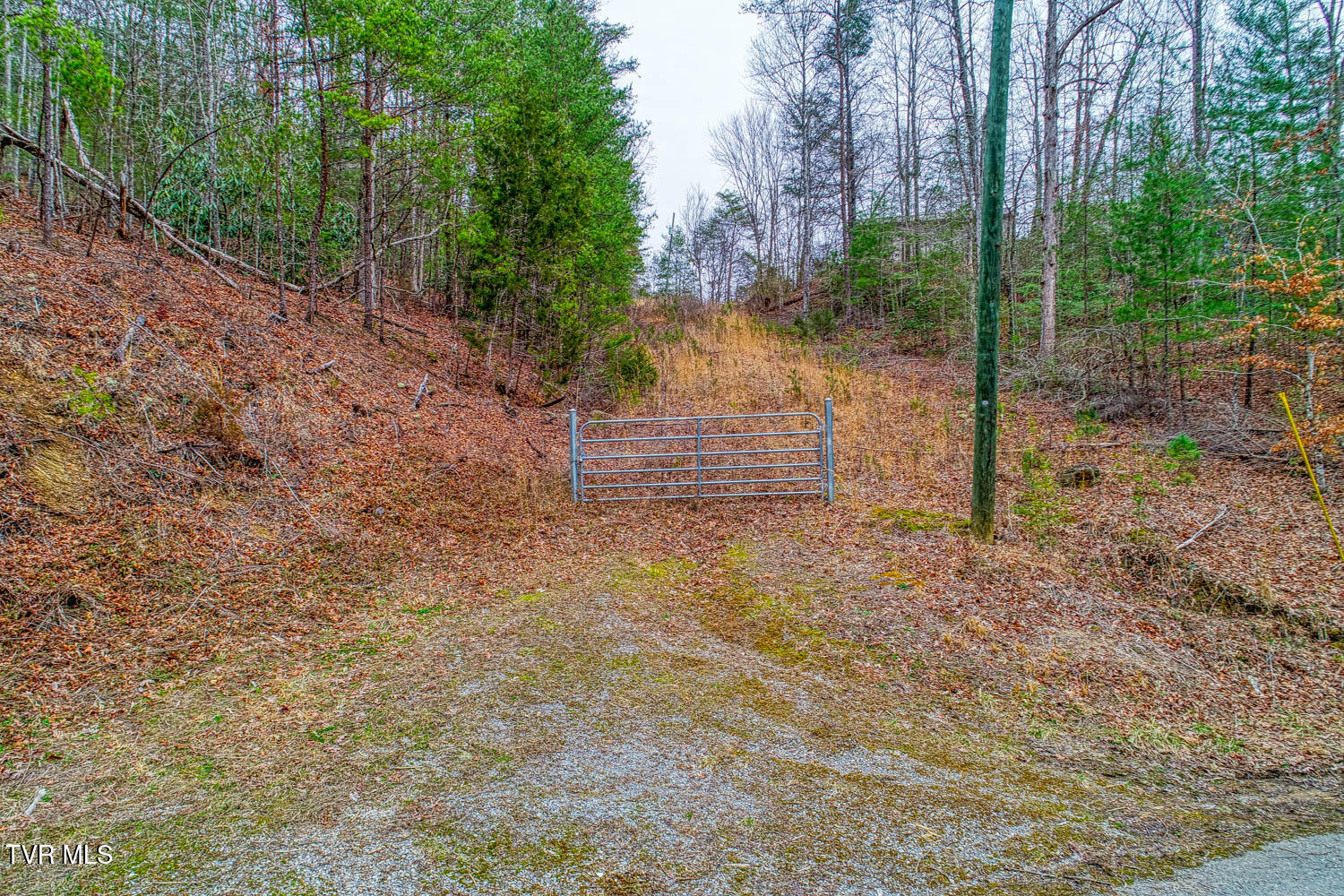 Tbd Stinnett Ridge Road, Cosby, Tennessee image 4