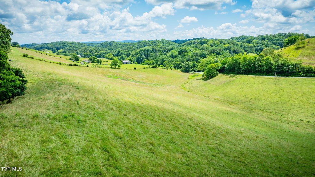 Photo of Tbd Long Town Road, Bulls Gap, TN 37711 (MLS # 9985645)