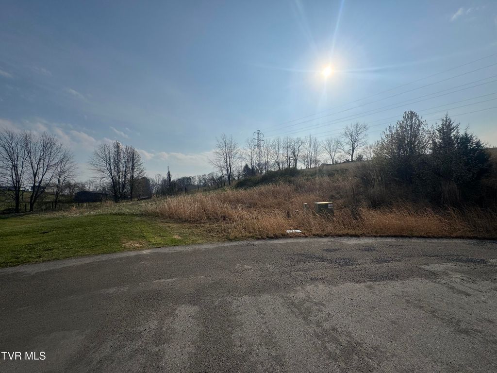 Photo of Tbd Lariat Loop, Abingdon, VA 24210 (MLS # 9993090)