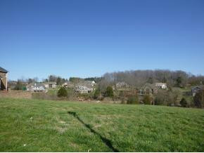 205 Forest Court, Blountville, Tennessee image 1