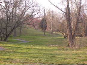 205 Forest Court, Blountville, Tennessee image 16