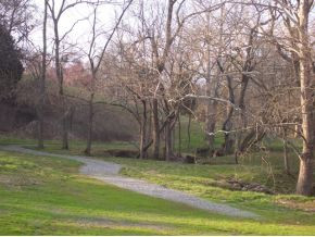 205 Forest Court, Blountville, Tennessee image 15