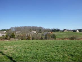 205 Forest Court, Blountville, Tennessee image 5