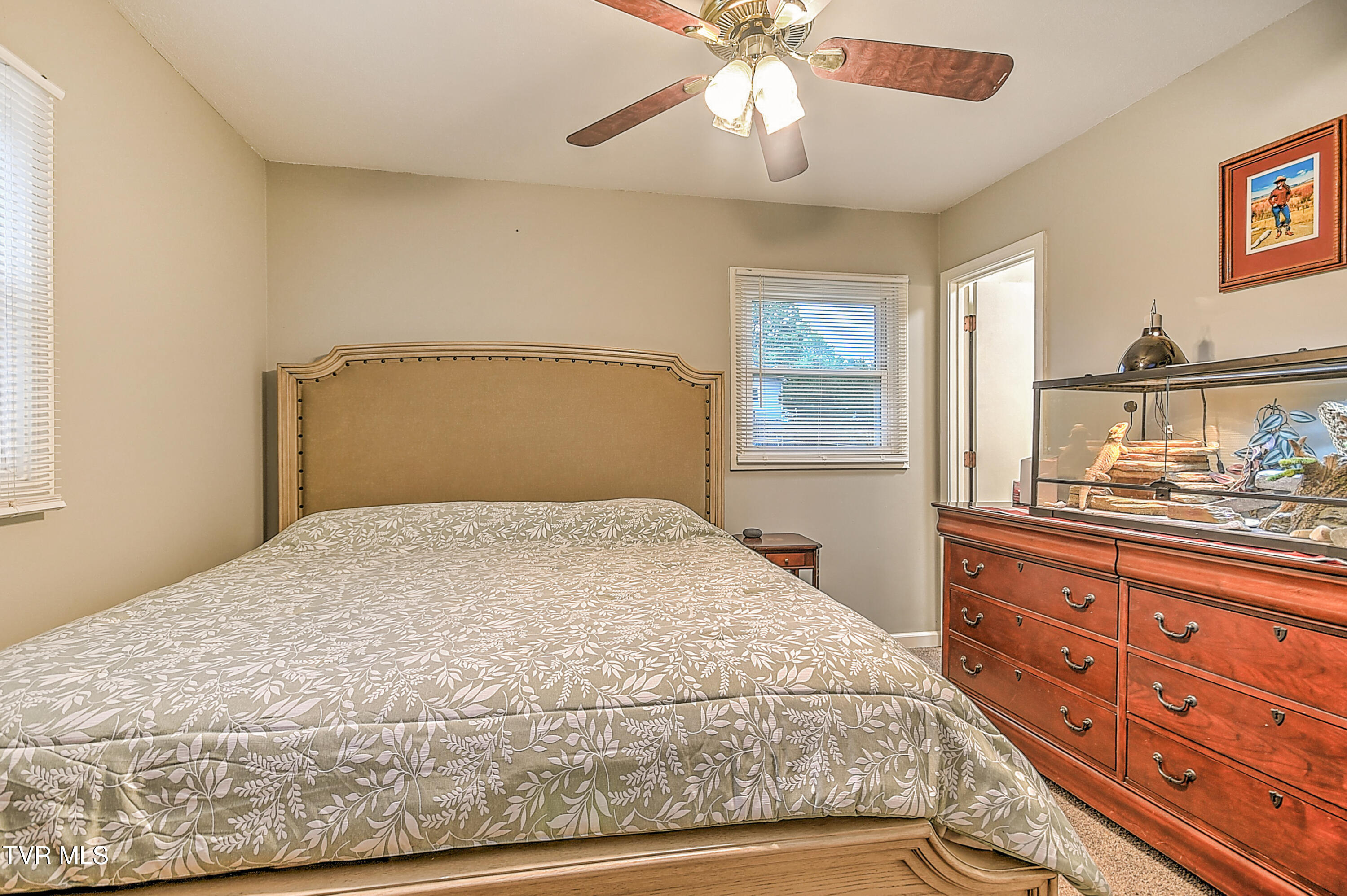 118 Greenmeadow Lane, Jonesborough, Tennessee image 25
