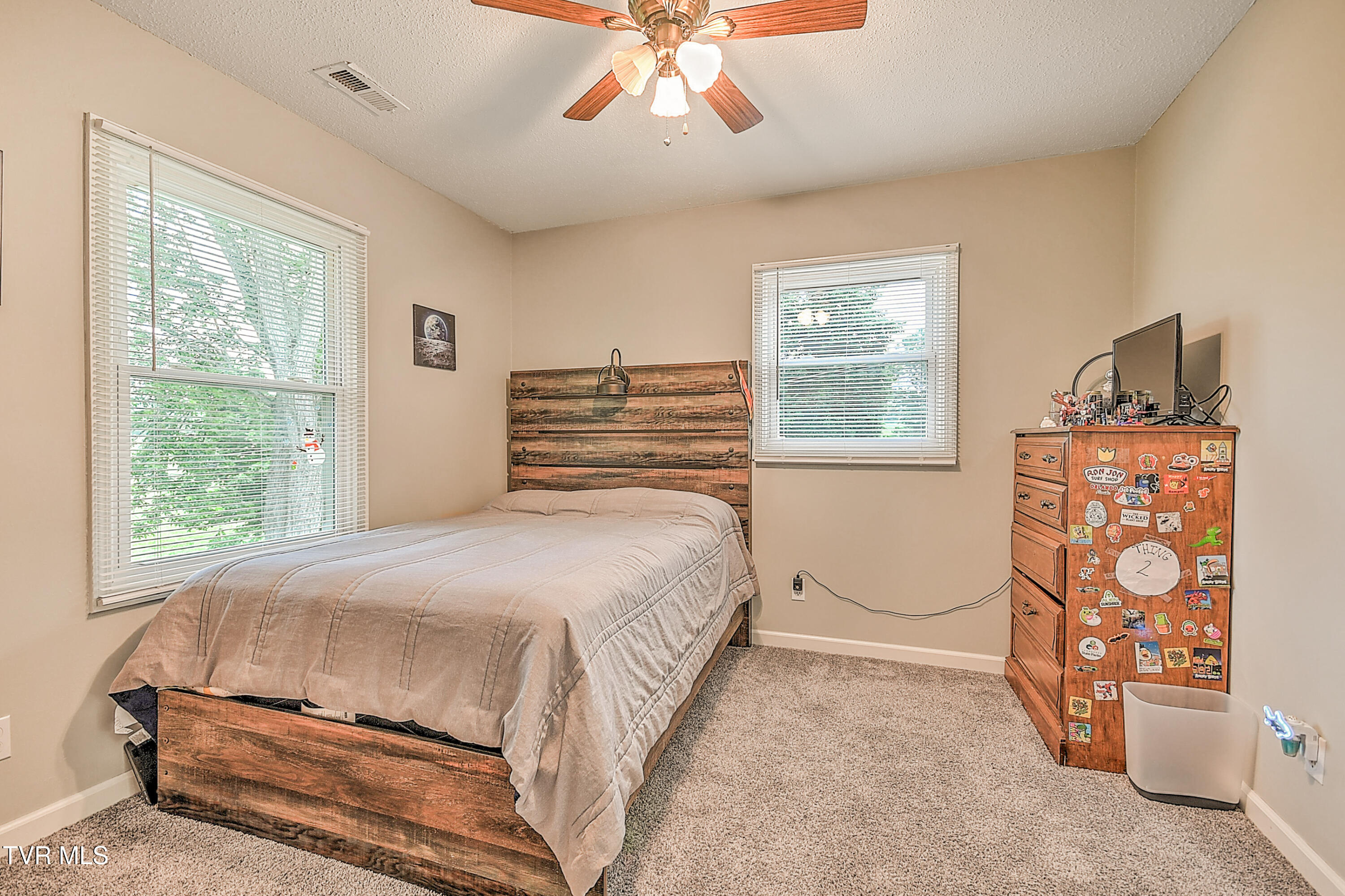 118 Greenmeadow Lane, Jonesborough, Tennessee image 22