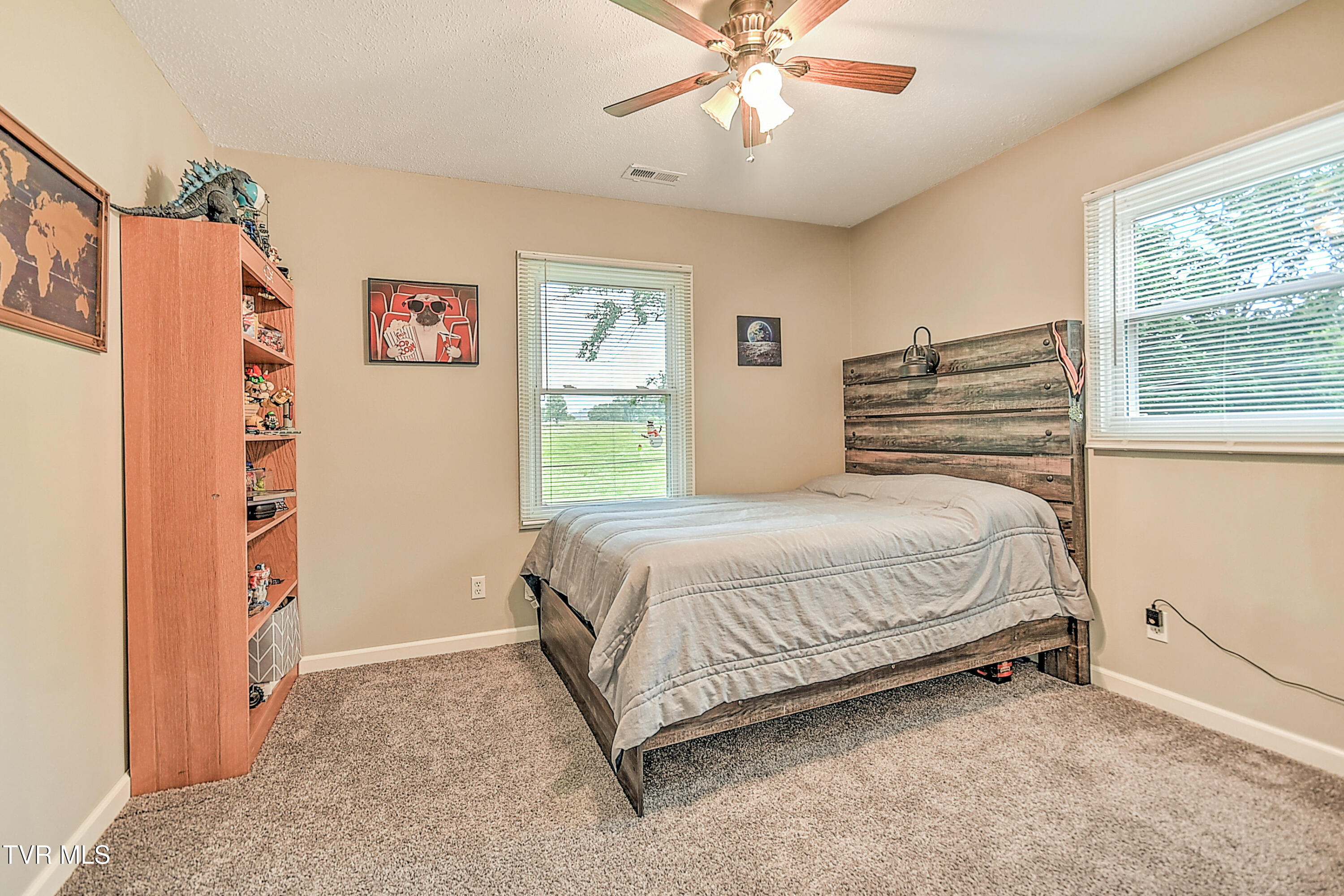 118 Greenmeadow Lane, Jonesborough, Tennessee image 21