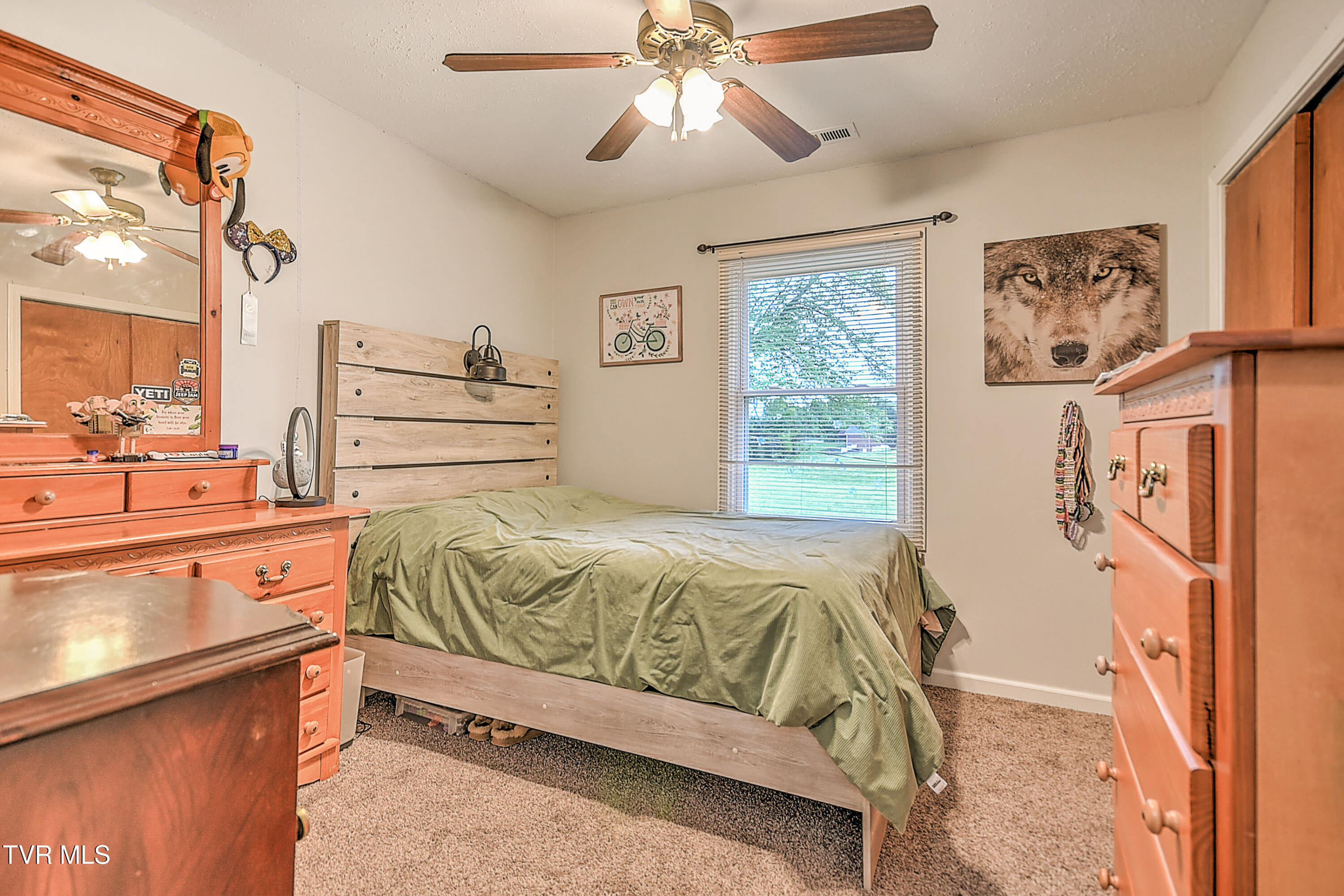 118 Greenmeadow Lane, Jonesborough, Tennessee image 33