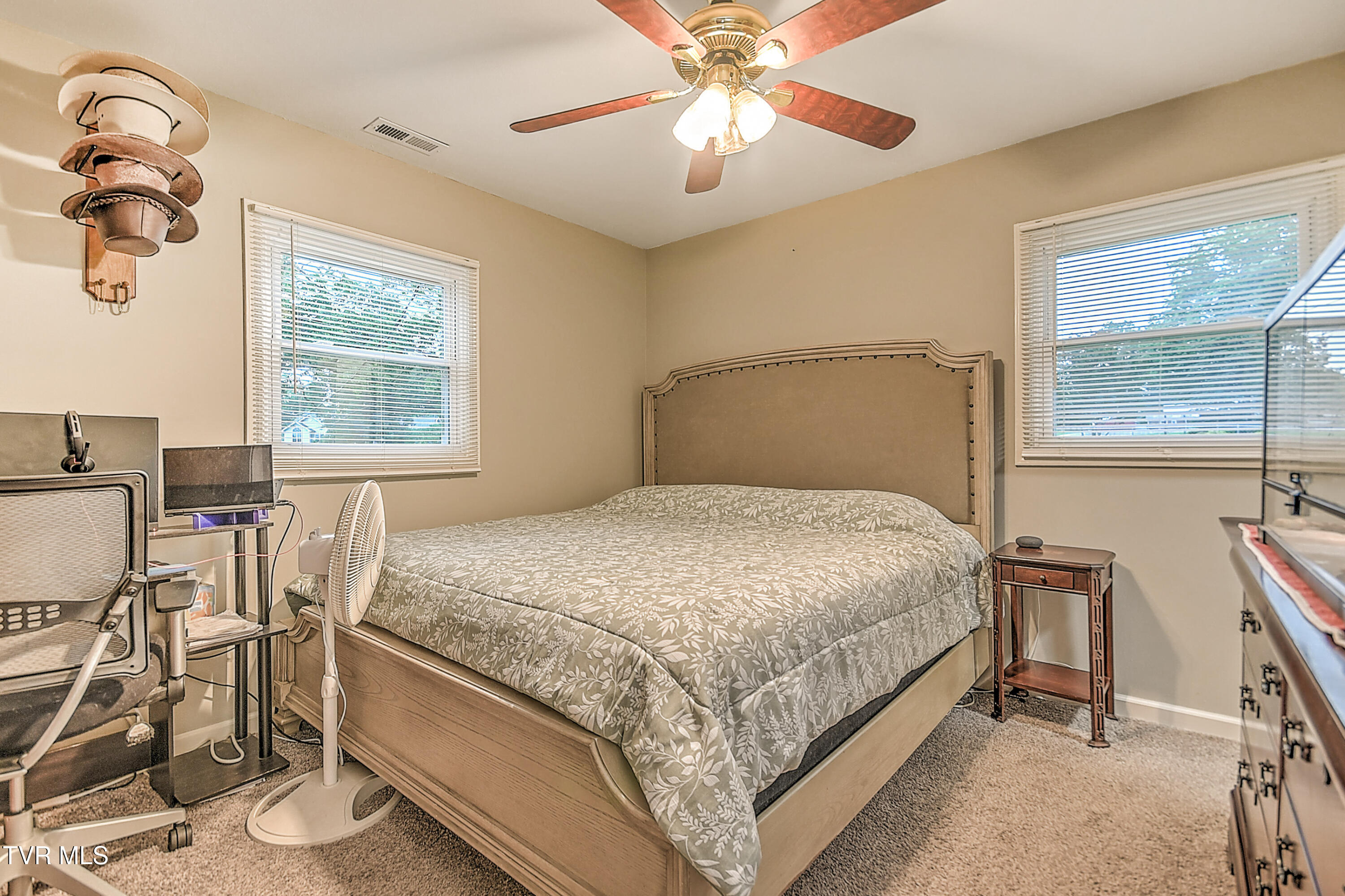118 Greenmeadow Lane, Jonesborough, Tennessee image 24