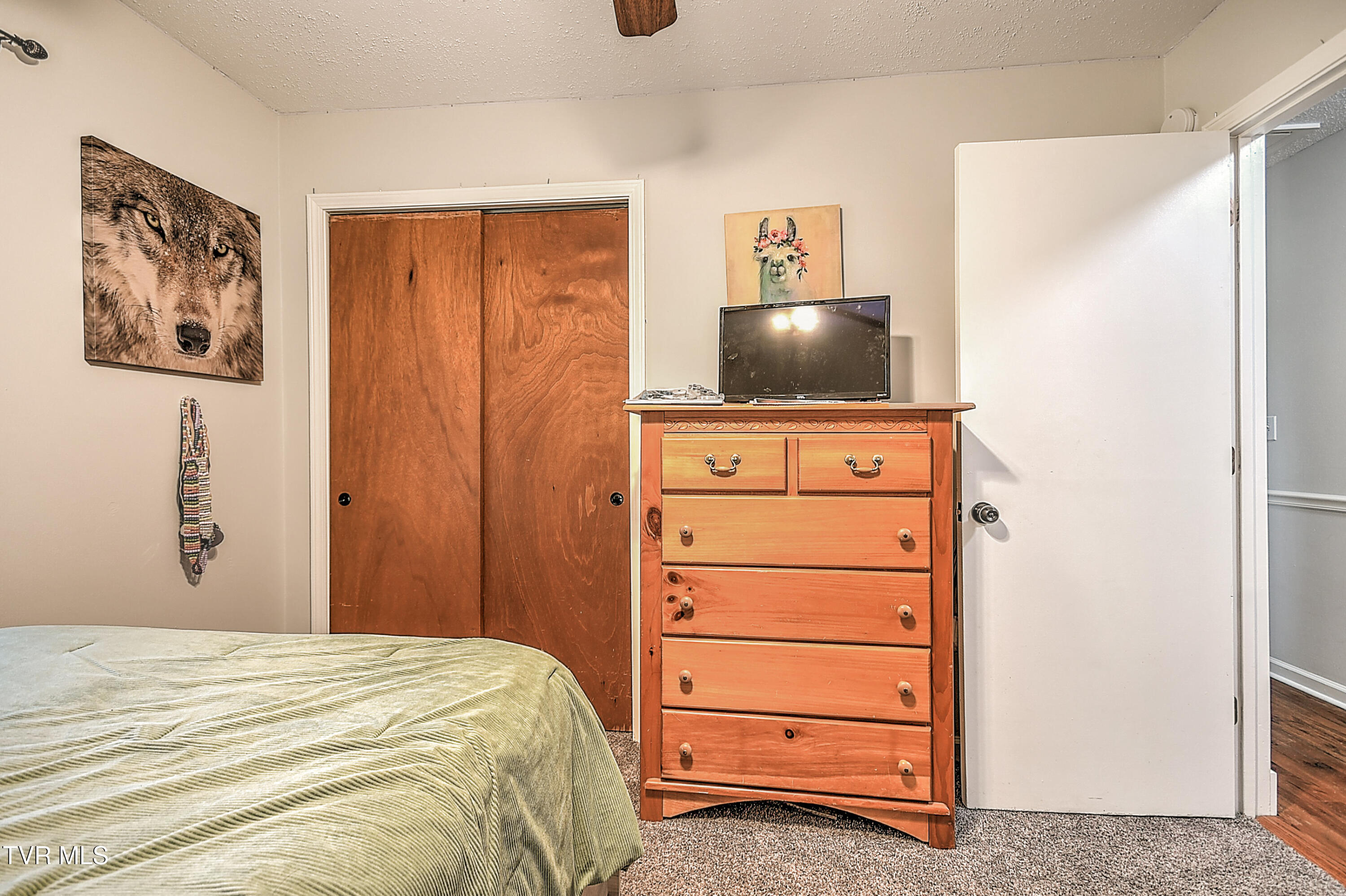 118 Greenmeadow Lane, Jonesborough, Tennessee image 34