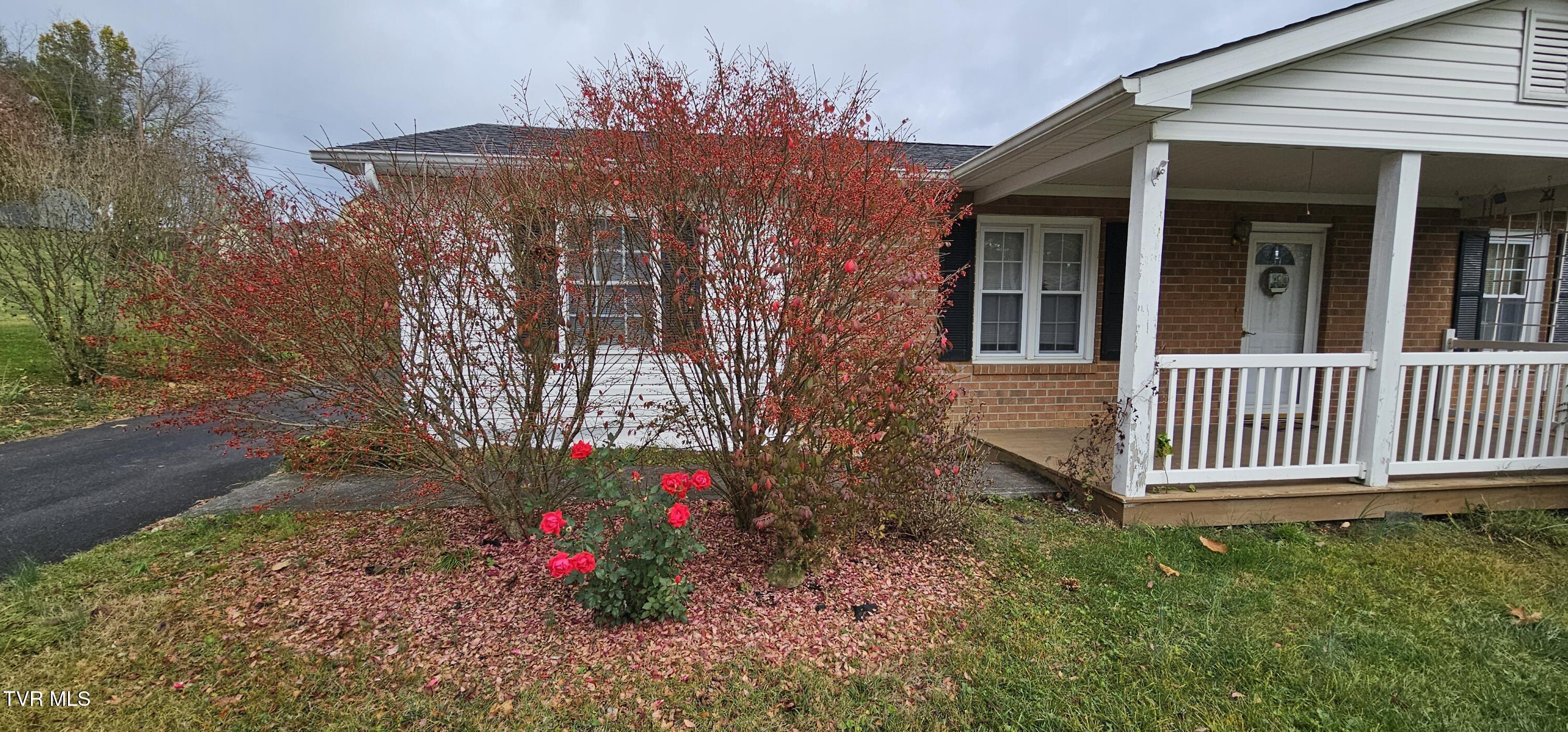 20286 Shadowood Circle, Meadowview, Virginia image 24