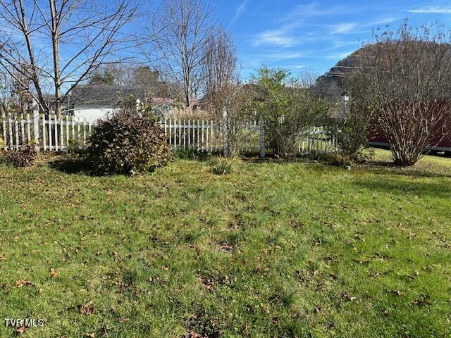 20286 Shadowood Circle, Meadowview, Virginia image 12