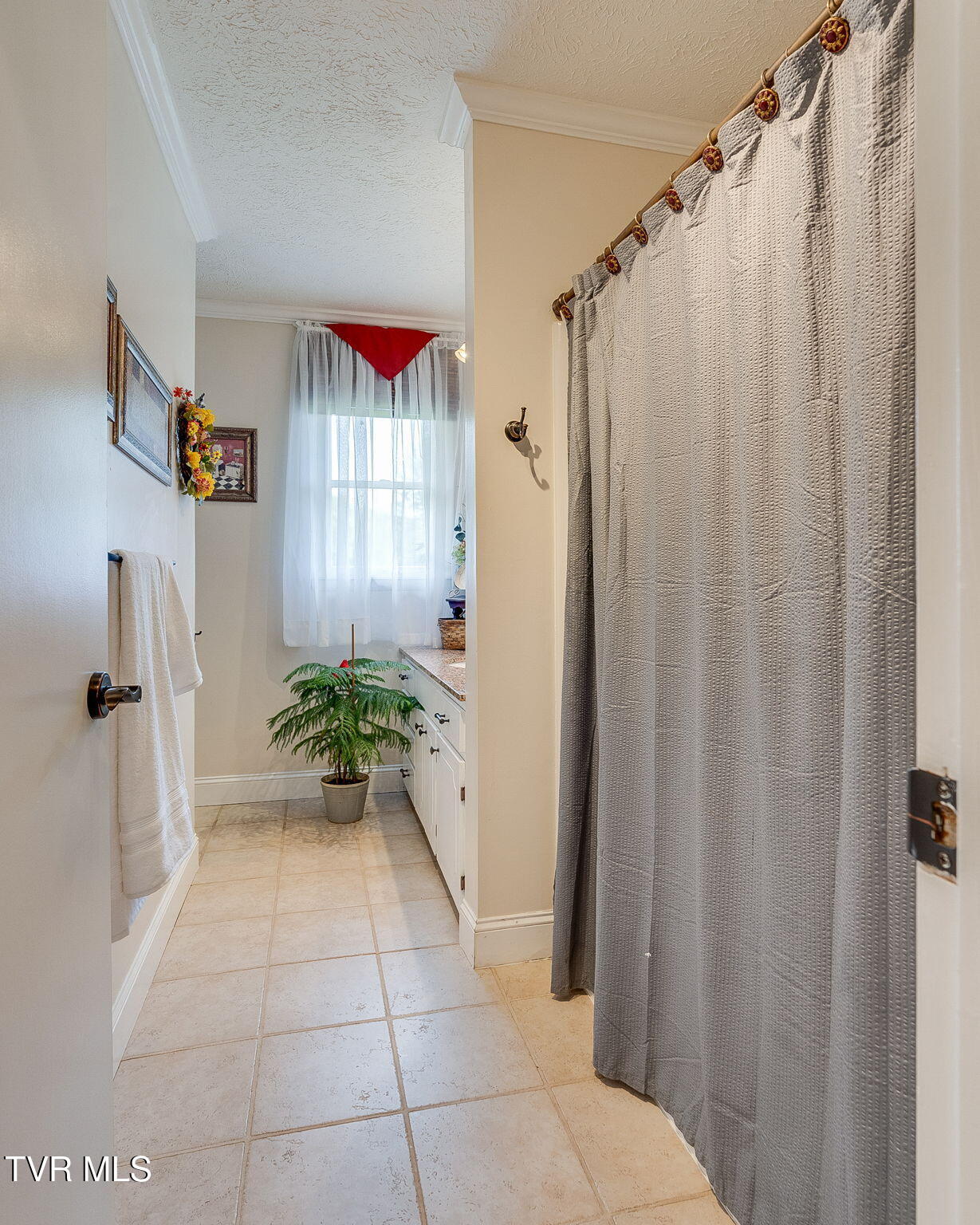 196 Carlton Road, Bristol, Tennessee image 20
