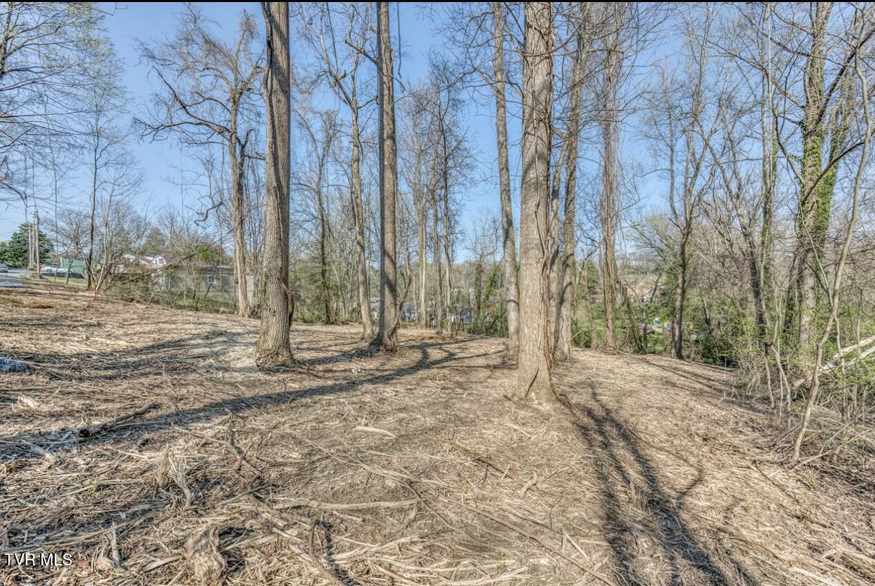 Tbd Tenth Extension Avenue, Johnson City, Tennessee image 12