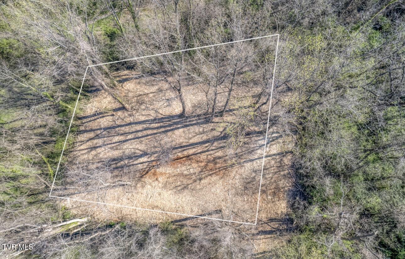 Tbd Tenth Extension Avenue, Johnson City, Tennessee image 22