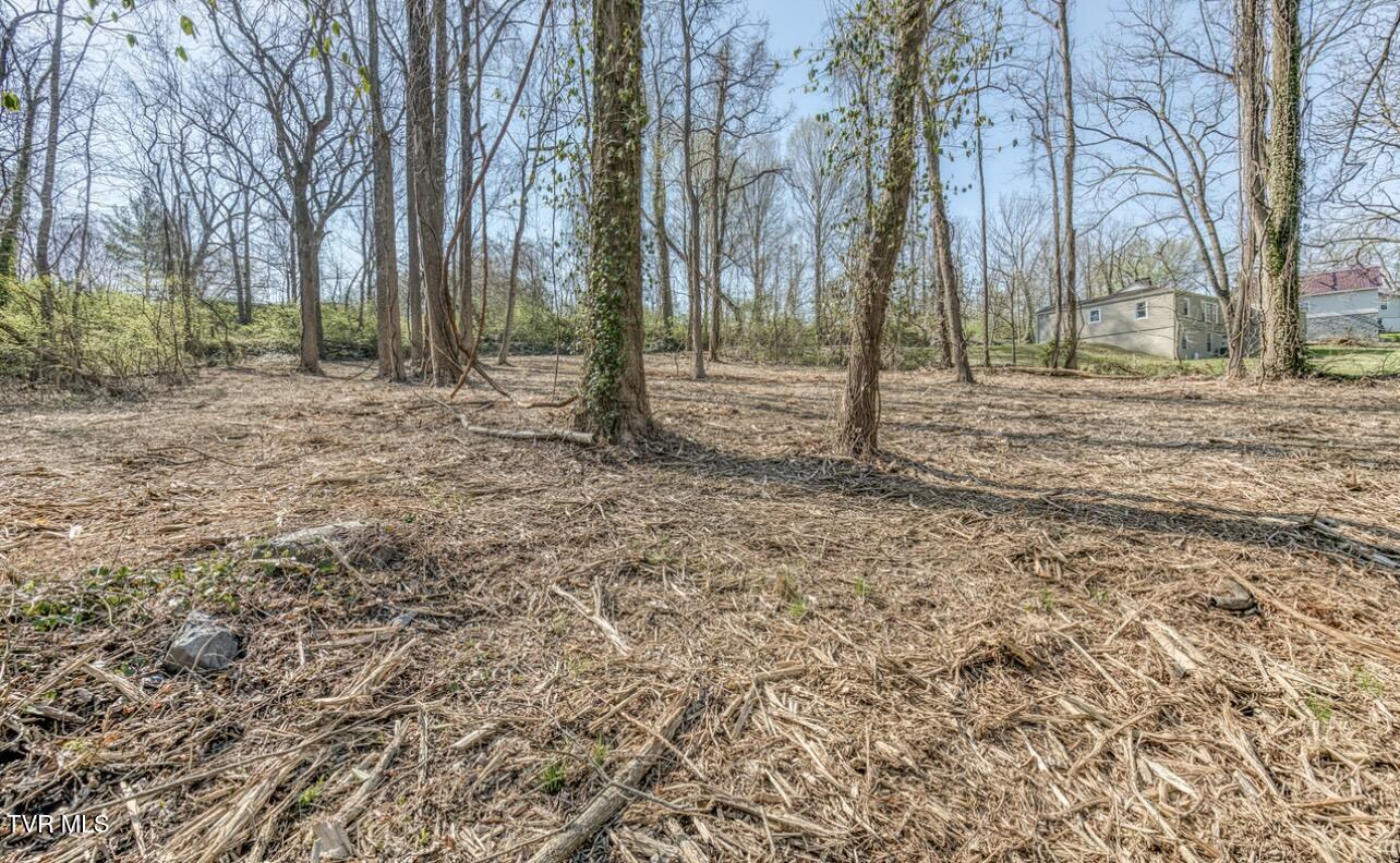 Tbd Tenth Extension Avenue, Johnson City, Tennessee image 7