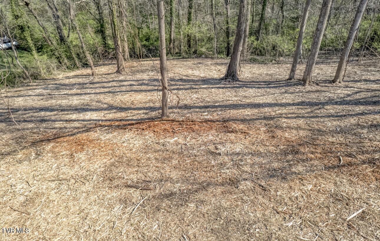Tbd Tenth Extension Avenue, Johnson City, Tennessee image 15