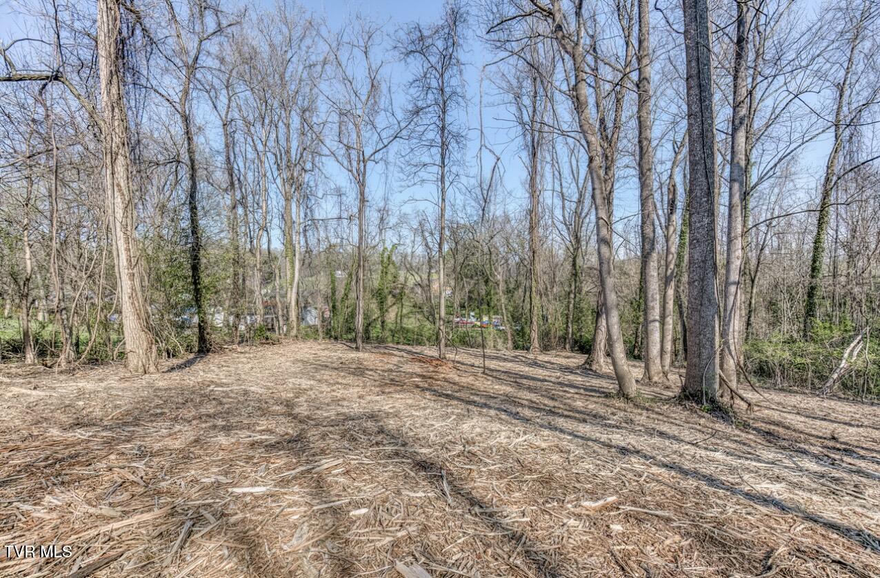 Tbd Tenth Extension Avenue, Johnson City, Tennessee image 2