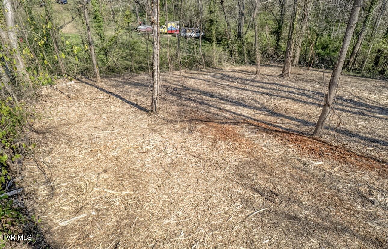 Tbd Tenth Extension Avenue, Johnson City, Tennessee image 13
