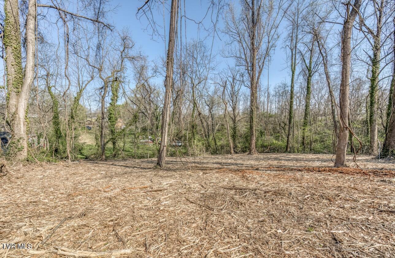 Tbd Tenth Extension Avenue, Johnson City, Tennessee image 9