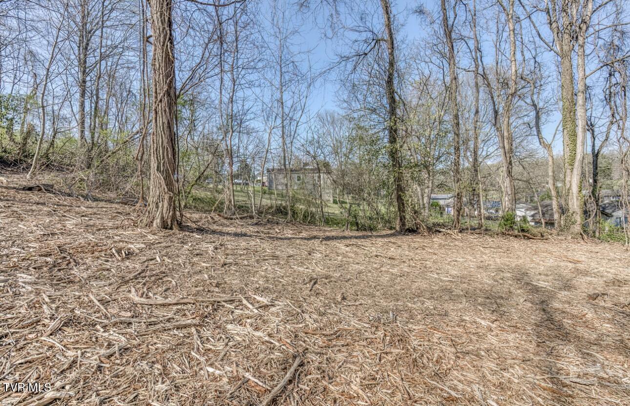 Tbd Tenth Extension Avenue, Johnson City, Tennessee image 4
