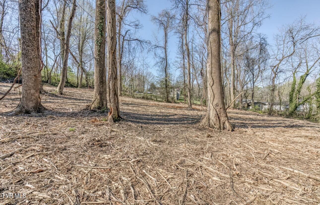 Tbd Tenth Extension Avenue, Johnson City, Tennessee image 11