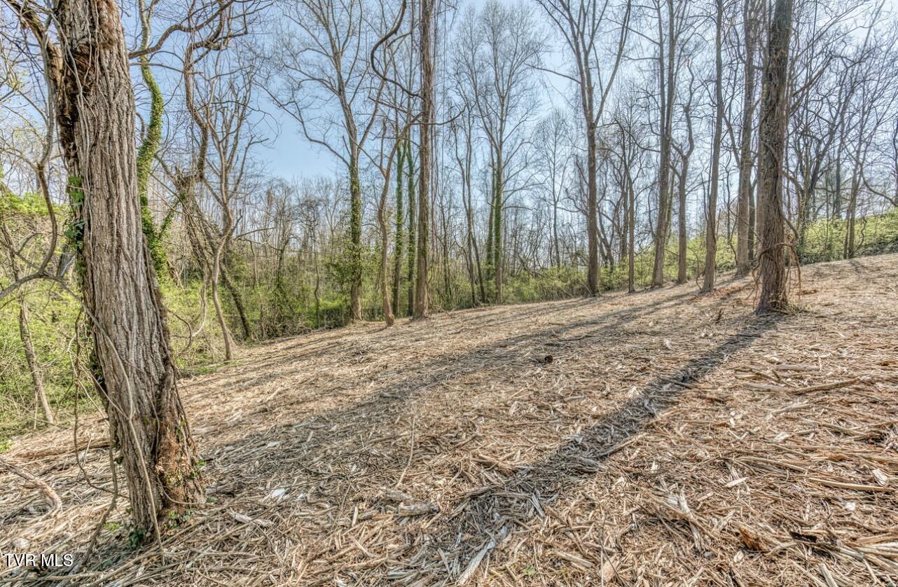 Tbd Tenth Extension Avenue, Johnson City, Tennessee image 8
