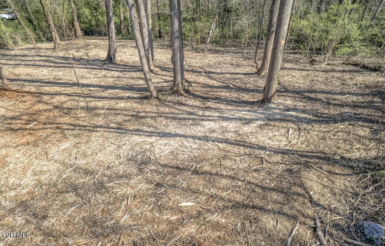Tbd Tenth Extension Avenue, Johnson City, Tennessee image 17