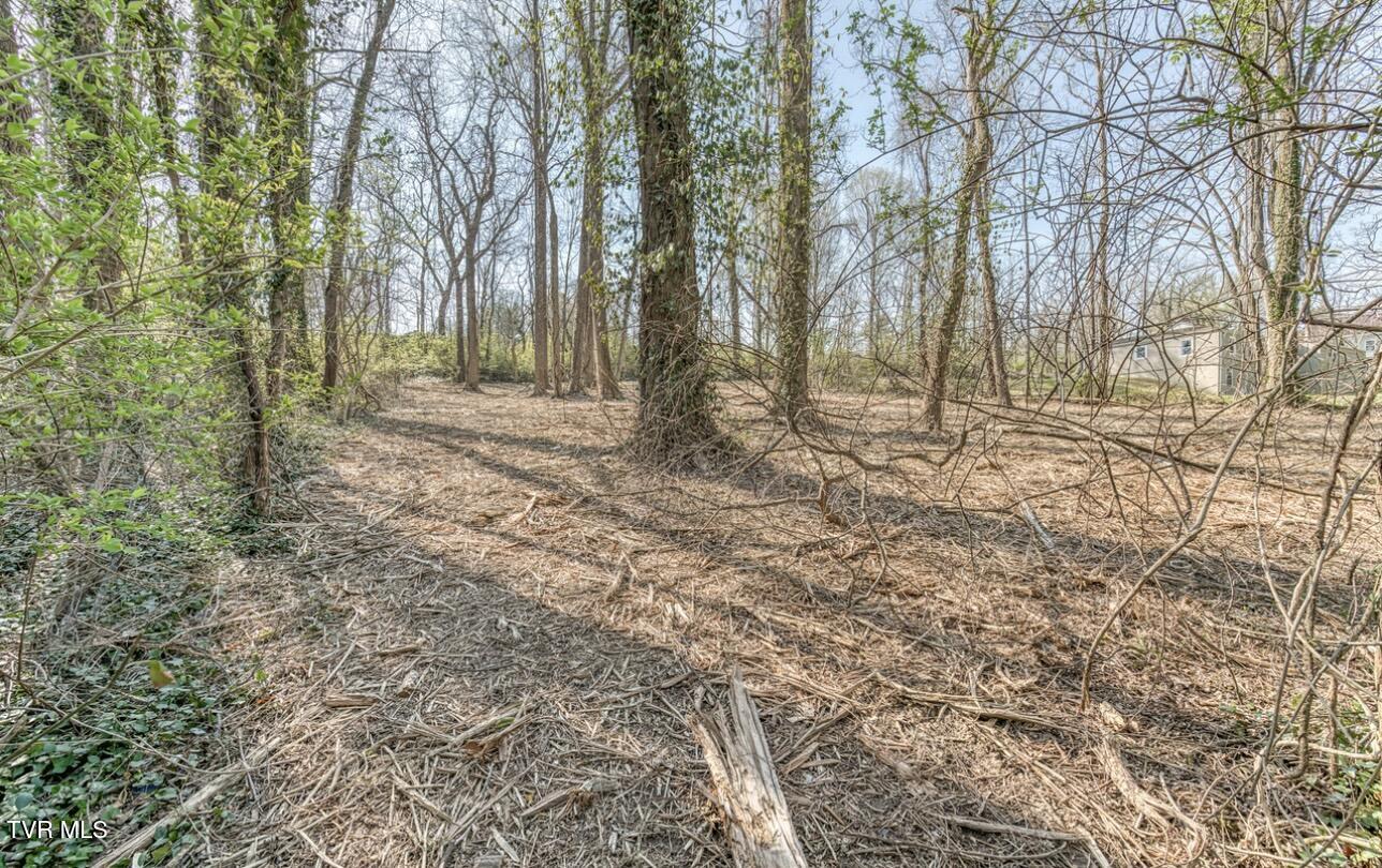 Tbd Tenth Extension Avenue, Johnson City, Tennessee image 10