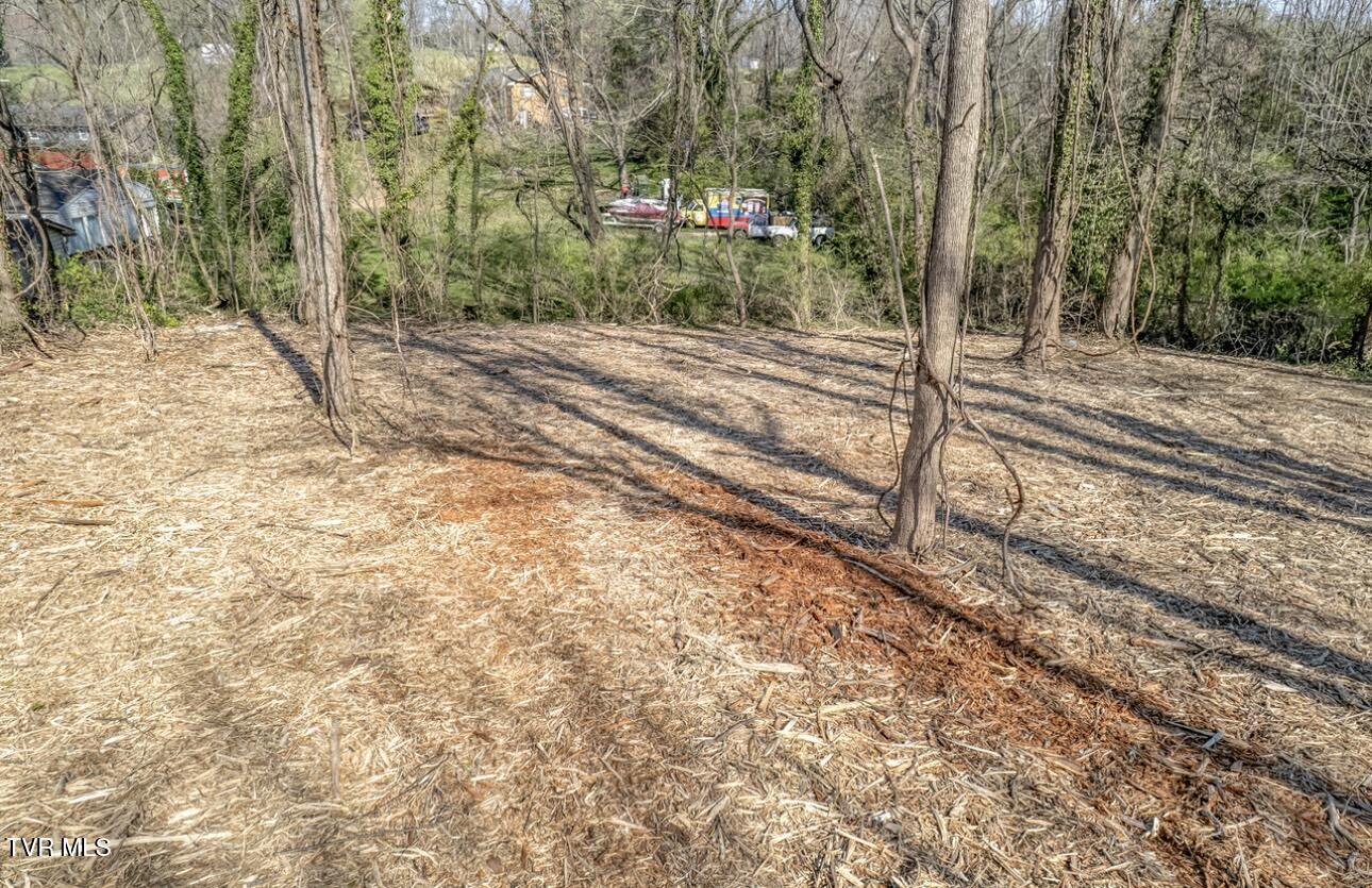 Tbd Tenth Extension Avenue, Johnson City, Tennessee image 19