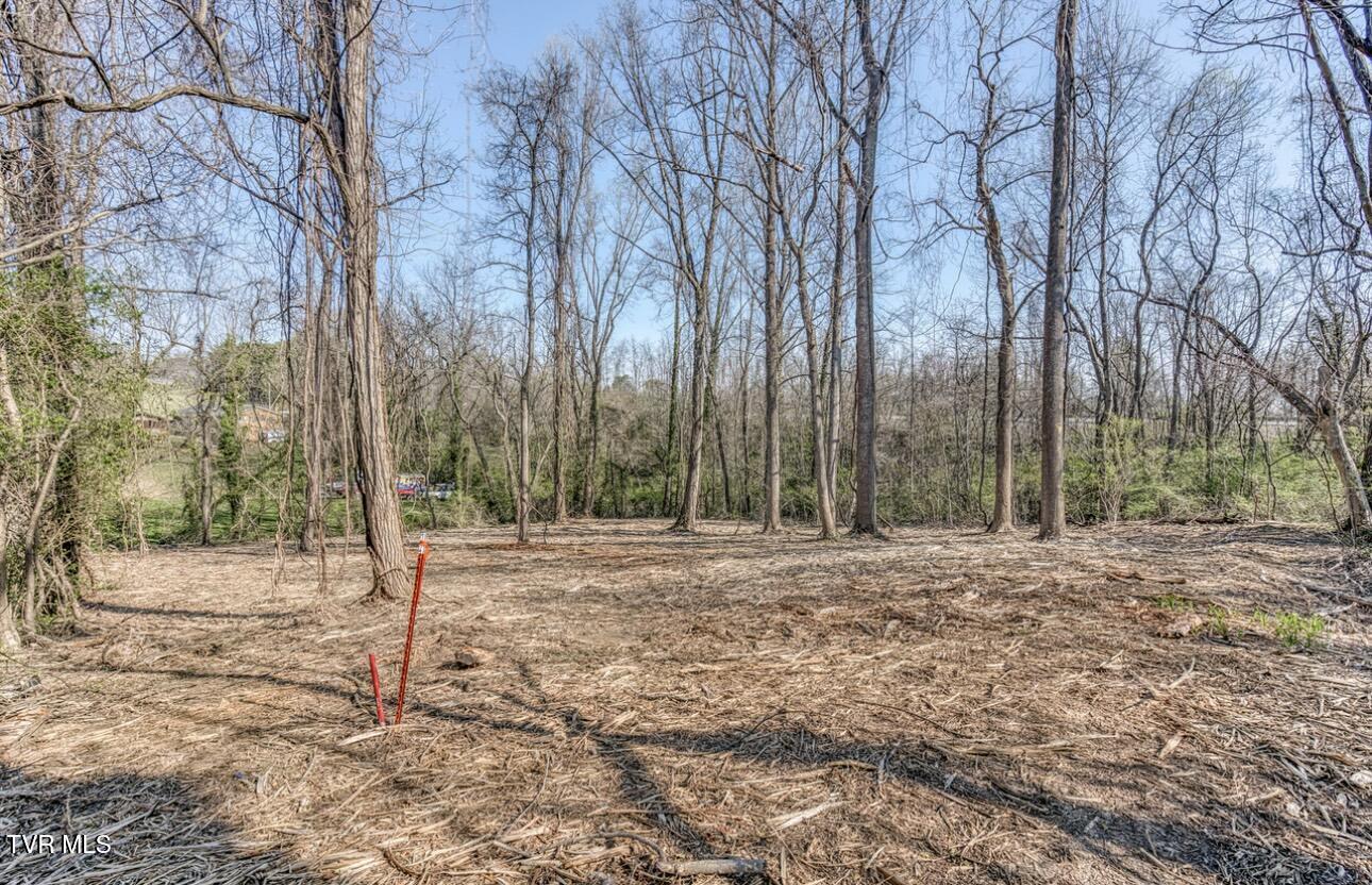 Tbd Tenth Extension Avenue, Johnson City, Tennessee image 1