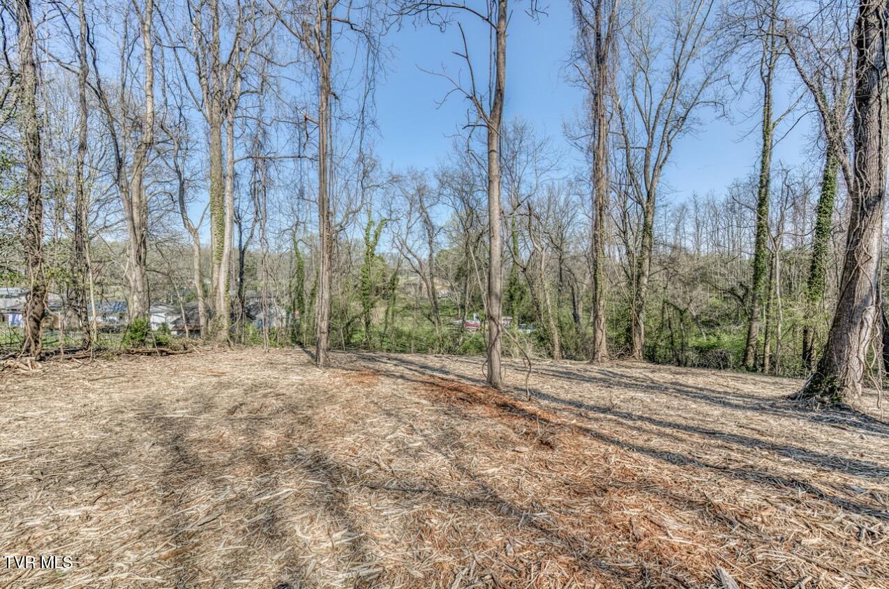 Tbd Tenth Extension Avenue, Johnson City, Tennessee image 6
