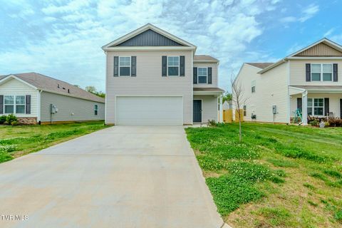 Photo of 9518 River Cane Road, Mascot, TN 37806 (MLS # 9993903)