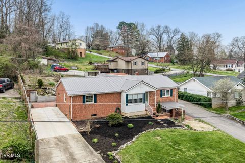 Photo of 1208 Robinhood Road, Greeneville, TN 37745 (MLS # 9992997)