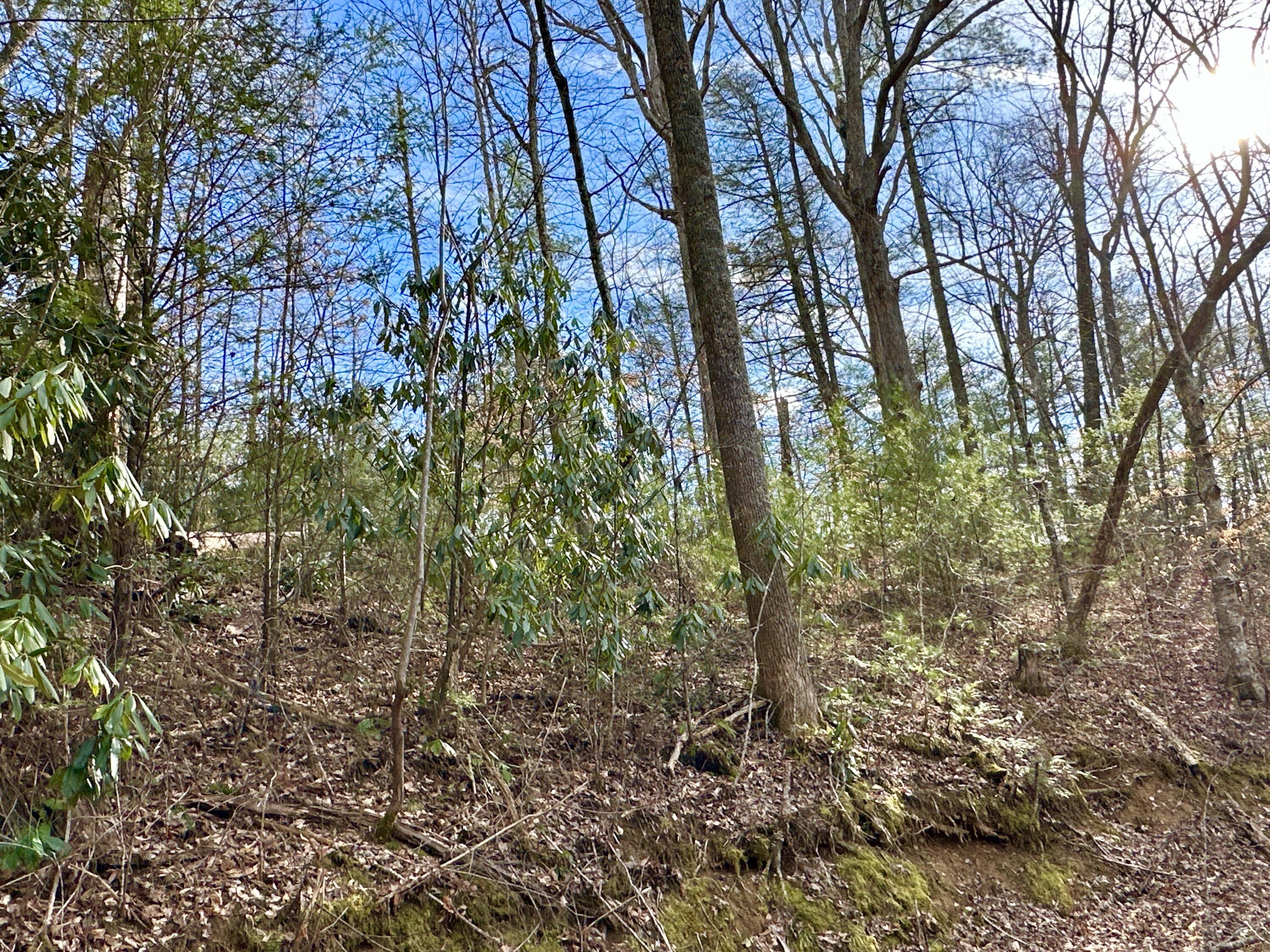Lot 10 Smoke Rise Way, Del Rio, Tennessee image 3