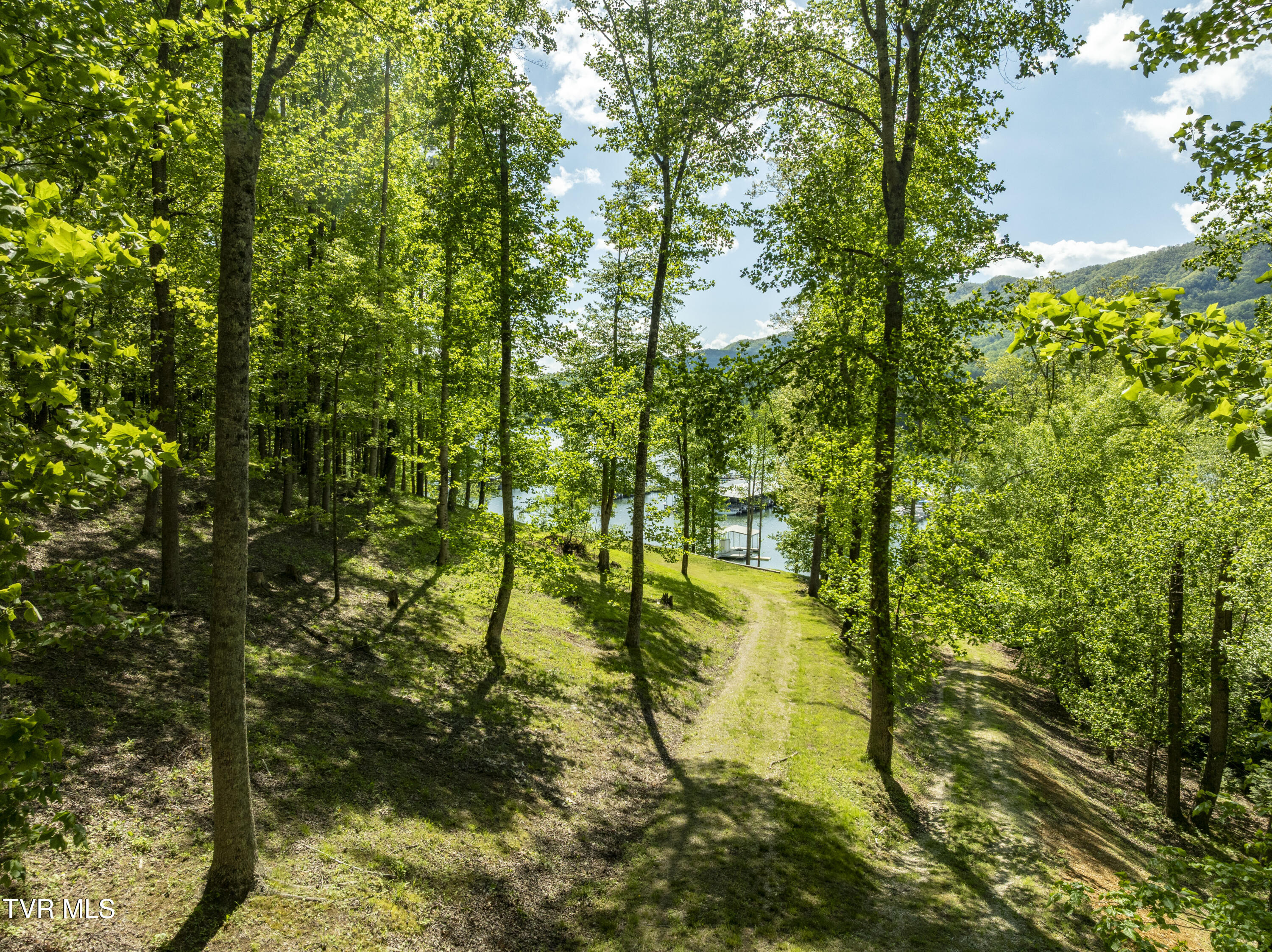 Tbd Big Oak Drive, Butler, Tennessee image 27
