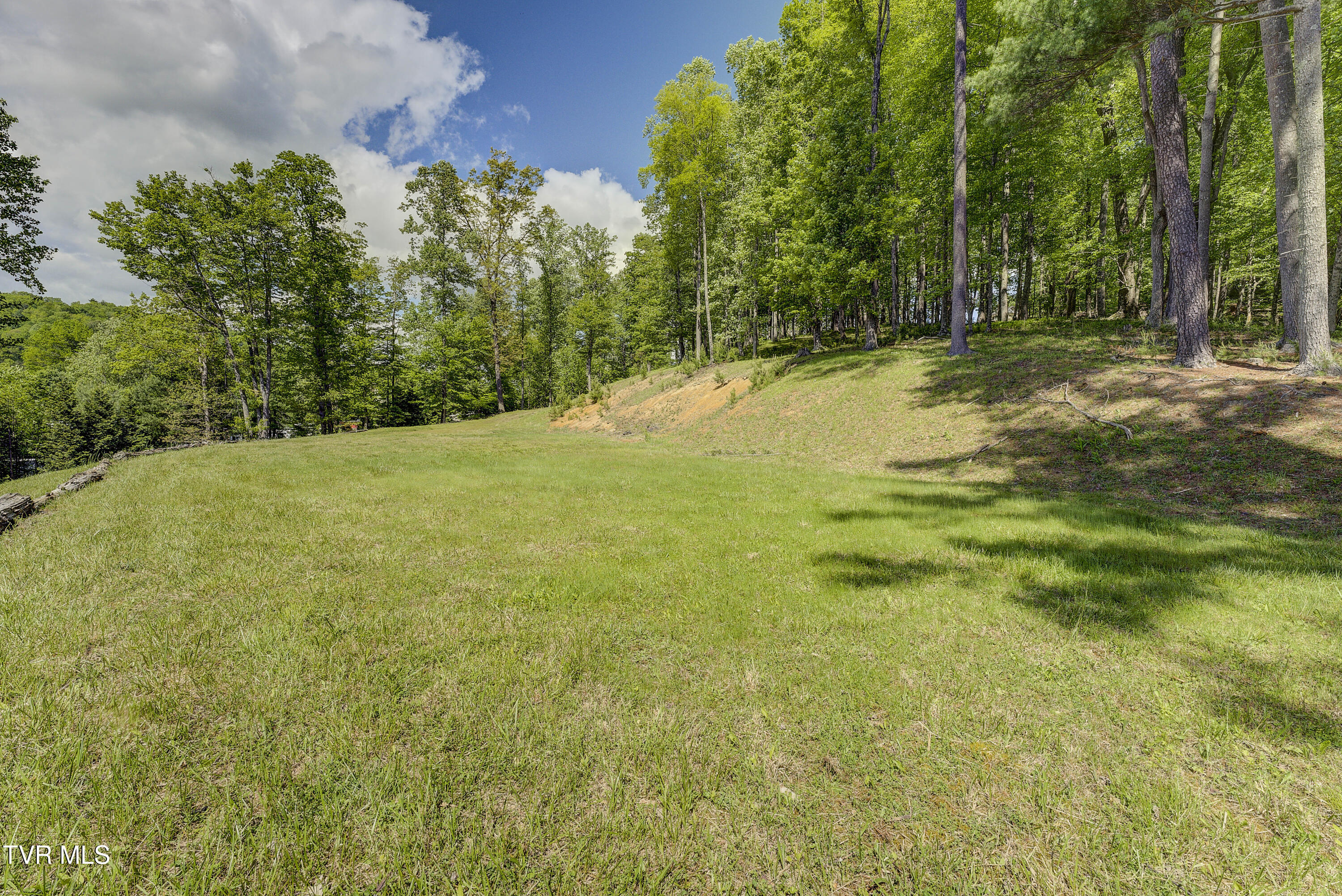 Tbd Big Oak Drive, Butler, Tennessee image 18